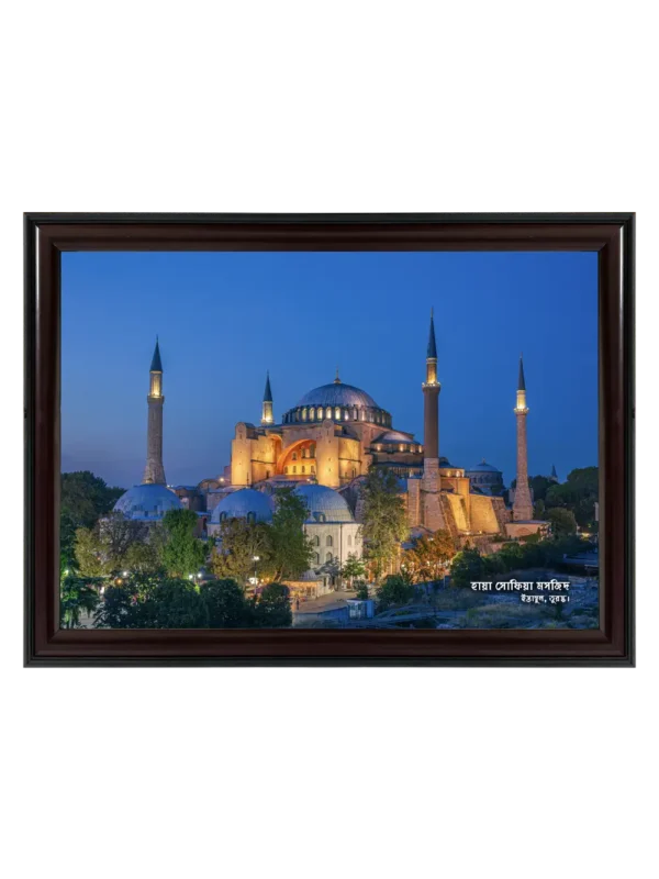 আয়া সোফিয়া Manzarasi 11x16.5 inch Coffee matte Frame