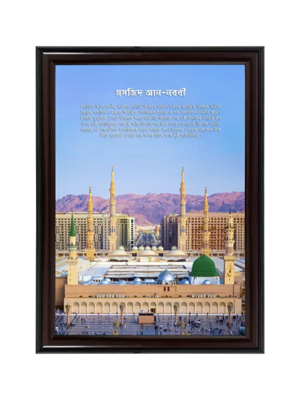 মসজিদ আন-নববী ভিউ 11x16.5 inch Coffee matte Frame
