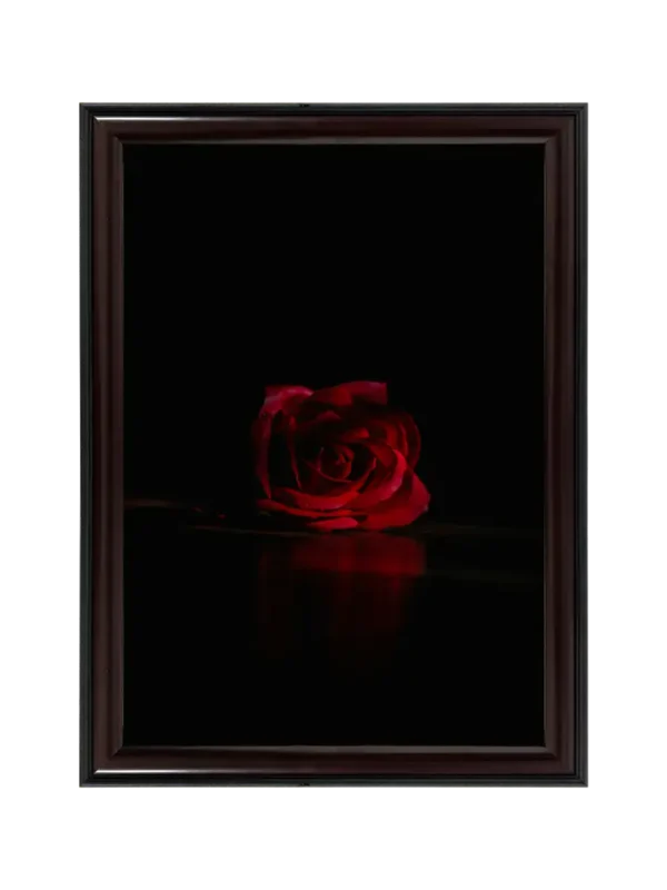 একটি গোলাপ 11x16.5 inch Coffee matte Frame