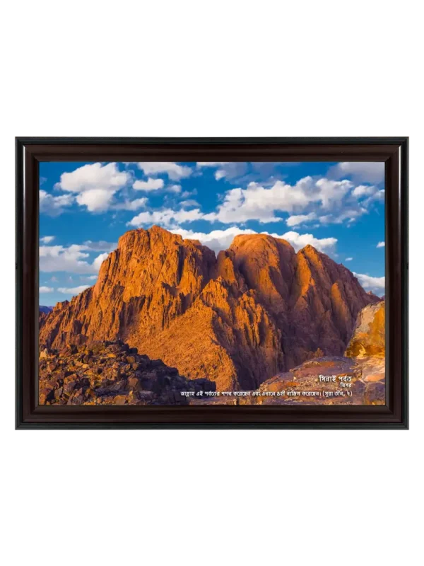 সিনাই পর্বত 11x16.5 inch Coffee matte Frame