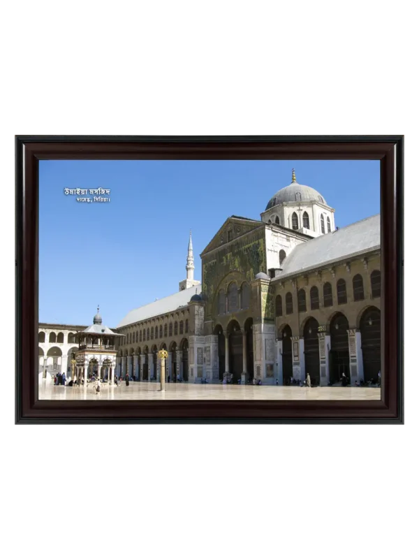 উমাইয়া মসজিদ দামেস্ক 11x16.5 inch Coffee matte Frame