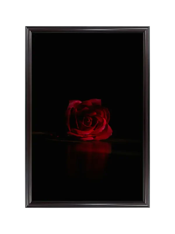 একটি গোলাপ 23x33 inch Coffee matte Frame