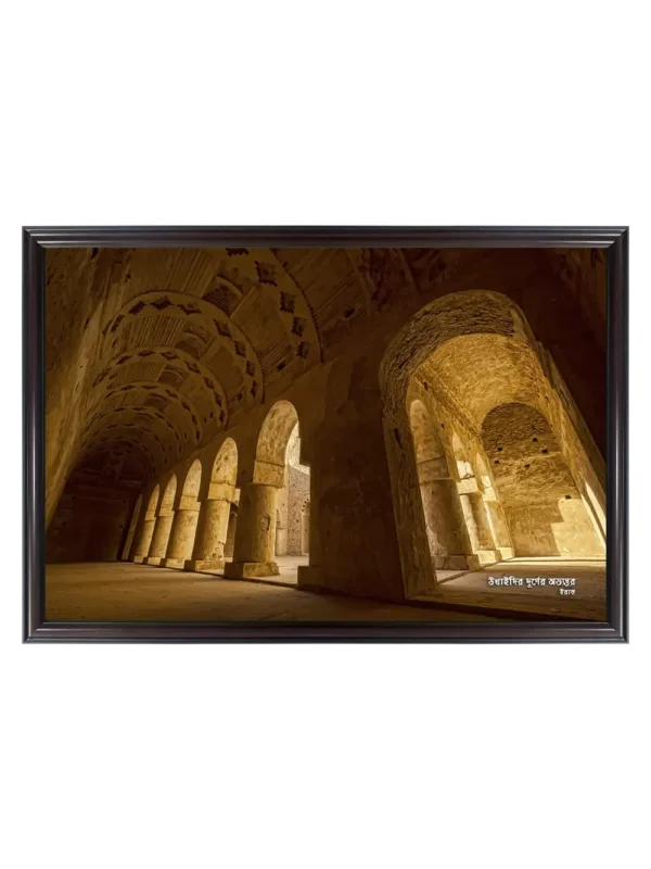 উখাইদির দুর্গ 23x33 inch Coffee matte Frame